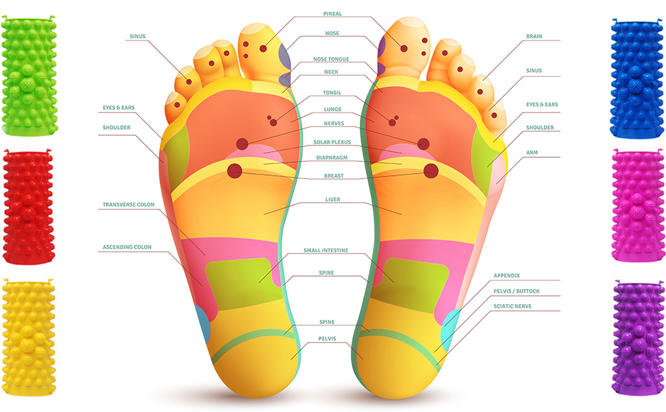 Reflexology