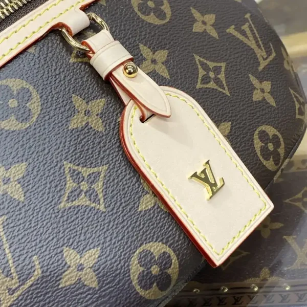 Louis Vuitton Bumbag Waist Brown - Image 6