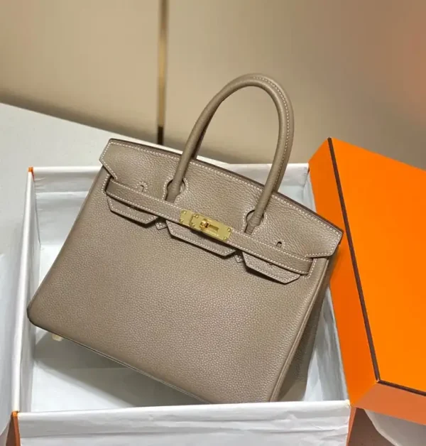 Hermes Birkin Elephant Gold - Image 2