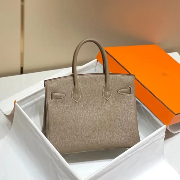 Hermes Birkin Elephant Gold - Image 3