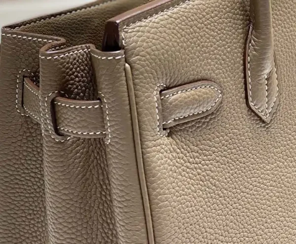 Hermes Birkin Elephant Gold - Image 6