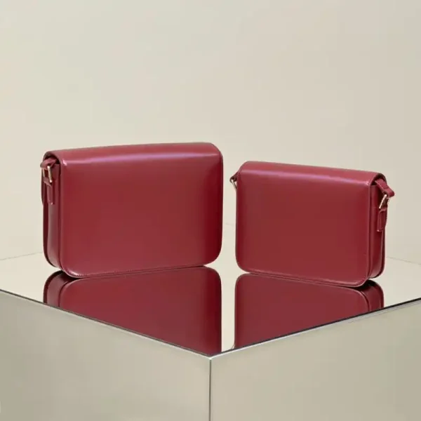 Celine Triomphe Mini Bordeaux - Image 4