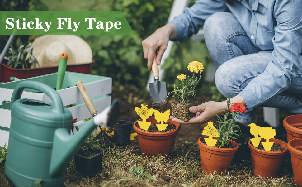 sticky fly tape