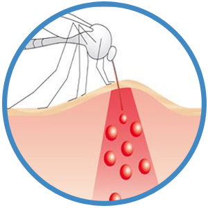Beurer BR 60 Insect Sting Device