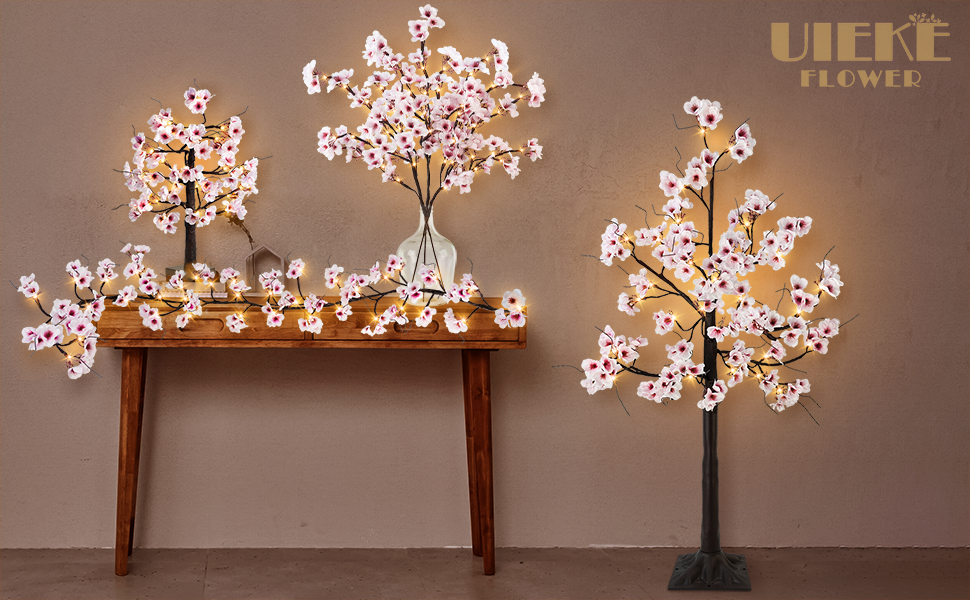 cherry blossoms