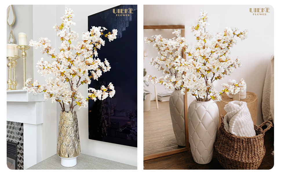 cherry blossoms