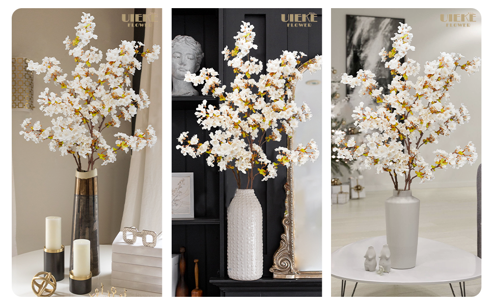 cherry blossom