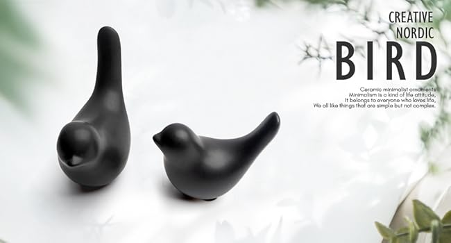 Birds